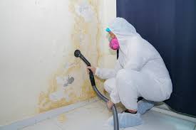 Best Commercial Mold Inspection  in Middletown, MD